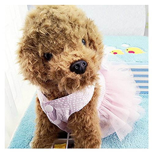 Famhome perro primavera verano, moda verano bonito dulce cachorro perro mascota Vestido Falda perros la princesa vestidos traje de vestir la capa del animal domésticopulgadas de rosa