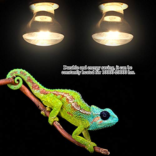 Fdit Bombilla de Calefacción para Reptiles Mascota Anfibio Noche Material Vidrio Blanca Ahorro de Energía 4 Tipos 220-230V(100W)