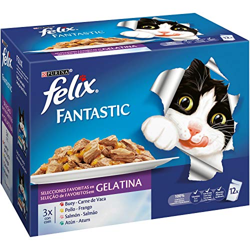 Felix - Fantastic Selecciones Favoritas en Gelatina Pack sobres 12 x 100 g - 1200 g
