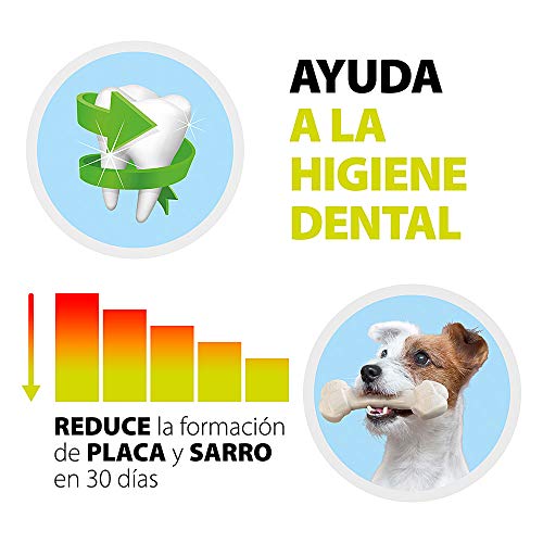 Ferplast Goodbite Natural M Juguete Hueso para la Higiene Oral, Sabor a Jamón, Perro Medio (8-16 Kg), Natural, 10 Piezas de 70 g