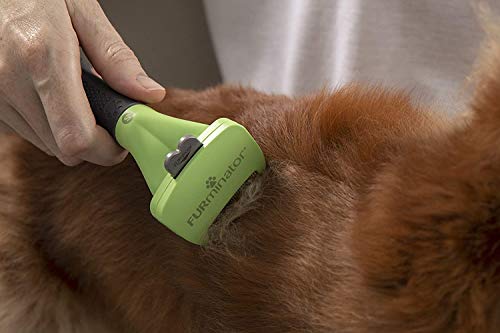 FURminator - Herramienta deShedding para perros raza pequeña de pelo largo