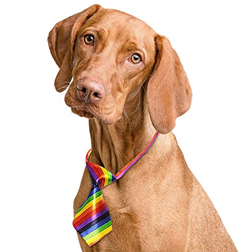 GOGO - Corbatas para perro o gato, varios colores, 10 piezas/paquete