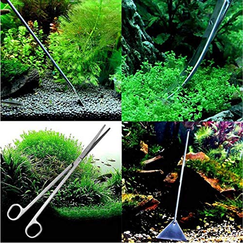 Goodn - Juego de 5 herramientas de mantenimiento para acuario, pinzas para plantas vivas, hierba, acuario, pecera