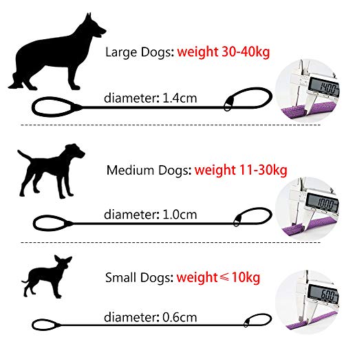 Grand Line Correa de Perro Nylon Cuerda de Entrenamiento Ajustable Reflectantes para Perros Pequeños, Medianos, Grandes y Extra - 0.6cm de Diámetro x 150cm de Largo(Púrpura)