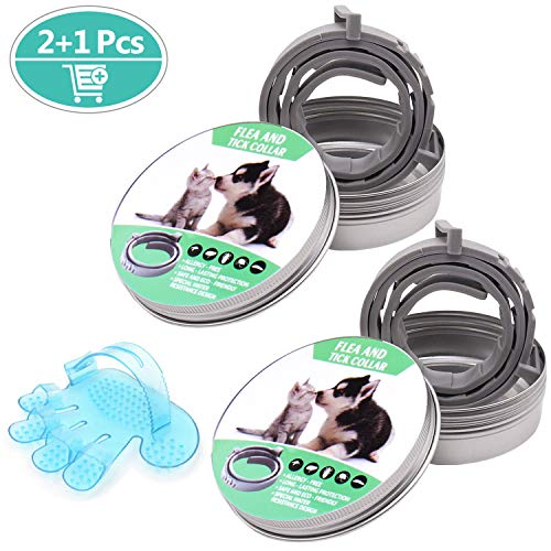 GVOO 2 Pack Collar Antiparasitos Perros Gatos Collares Antipulgas Tamaño Ajustable e Impermeable para Mascota Grandes Extractos de Plantas de Aceites Esenciales