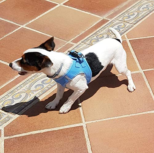 HAPPY HACHI Arnés Gato Chaleco Gatito Perro Pequeño Ajustable Suave Acolchado Cómodo para Viajar Pasear con Mascota Pequeña Cachorro Chihuahua(M Azul)