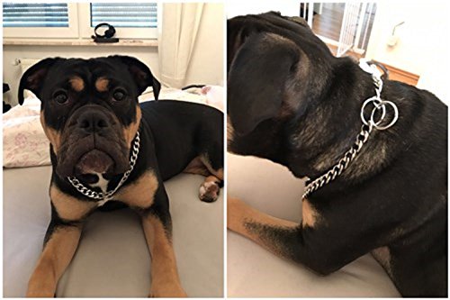HAPPY HACHI Collar Consistent para Perros Collares de Acero Cadena Serpiente Metal para Adiestramiento(L 4.0mm*60cm)