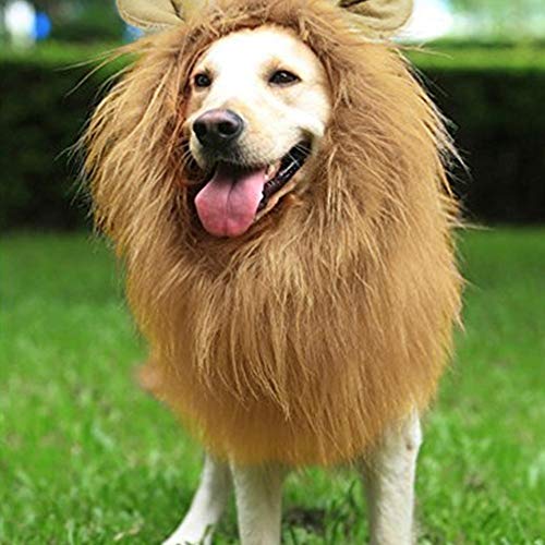 Hffheer Peluca de Perro Sombreros Fibra sintética Disfraz de Mascota Melena de león Pelo Peluca de Melena de Perro Mascota de Moda para Fiesta de Fiesta Cosplay