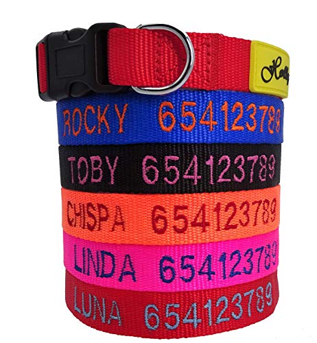 Holly Mascotas Collar de Perro Personalizado, de 24 a 72h lo tendrás en casa, Bordados Nombre y Número De Teléfono.