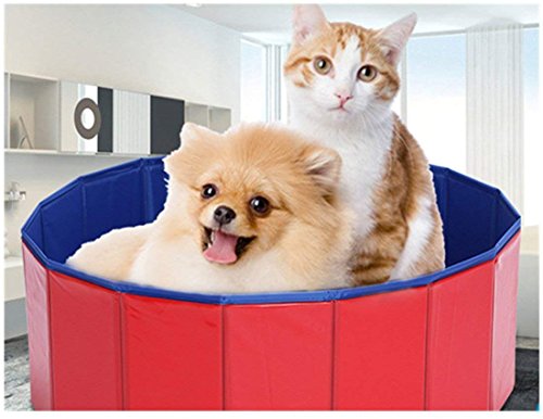 Homemper Bañera para Perro y Gato/bañera para Mascotas, Piscina Plegable para Perros, bañera para Belleza para Mascotas/bañera Grande/Lavabo para Perros, Plegable rápido (M)