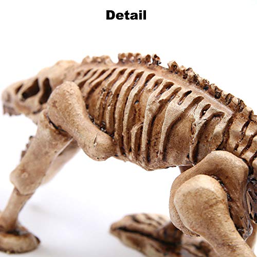 HongYH Decoración del Acuario, Esqueleto Decorativo del Dinosaurio de la Resina del Acuario para la casa del Reptil