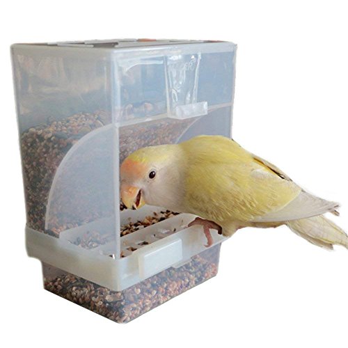 Hypeety - Comedero automático para pájaros, sin ensuciar, alimentador para mascotas, contenedor de alimentos, jaula de perca, accesorios para periquito, canario, cóctel