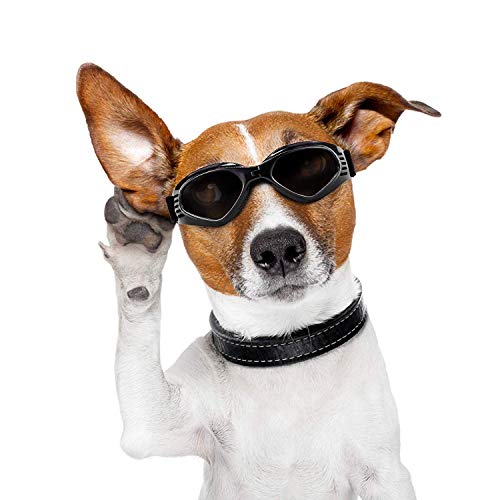 iwobi Gafas de Sol para Perros, Gafas de Sol y Protectoras para Perros pequeños, con protección UV, Impermeables, Cortavientos y con Efecto antivaho para Mascotas pequeñas