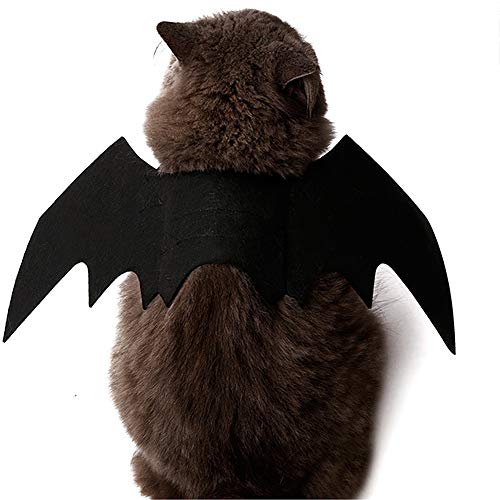 JDYW Disfraz de Gato Mascota Alas de murciélago para Perros Disfraz de Disfraz de Mascotas (Alas de murciélago)