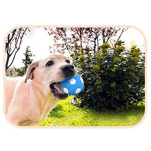 JIA Xing Juguete for Mascotas Dientes Bite-Resistentes del Perro casero Vocal Pelota de Juguete Grandes Cachorros de Perro Cachorros al Aire Libre Interactivo de fútbol. Juguetes para Perros
