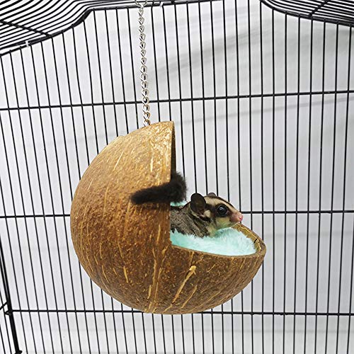 JKGHK hámster Hamaca Suave Lindo cáscara de Coco Dormir Nido con Bell Reproducción de la Cama Colgante para hámster Conejillo de Indias de Ardilla