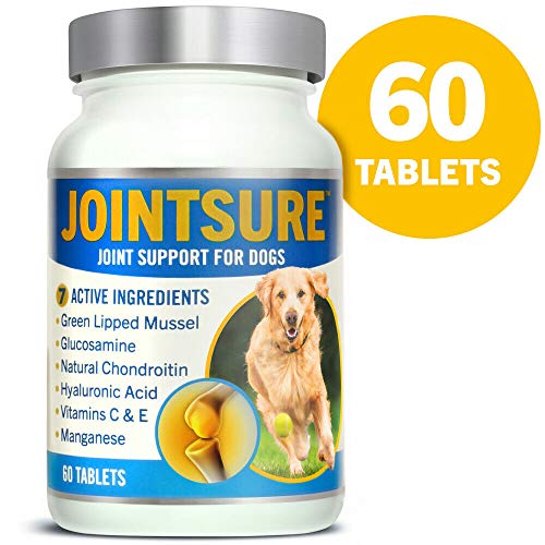 JOINTSURE condroprotector Perros| 60 Comprimidos | con mejillón de Labio Verde, glucosamina y condroitina Natural. | Este antiinflamatorio para Perros.
