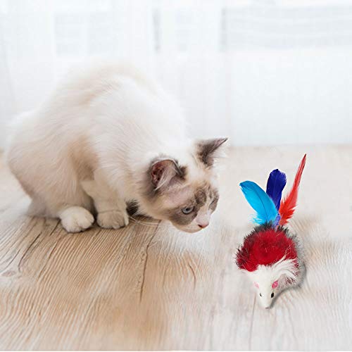 Juguete de varita con plumas retráctil, para gatos, interactivo, con 8 repuestos de plumas, pájaros y ratones, de OneBarleycorn