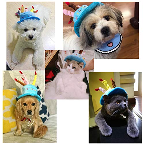 JZK Terciopelo Azul Juguete de Gorro de cumpleaños Diseno Velas Pastel para Gato Perro Mascotas, Accesorios para Decoracion de Fiesta de cumpleaños de Perro Mascota Gato
