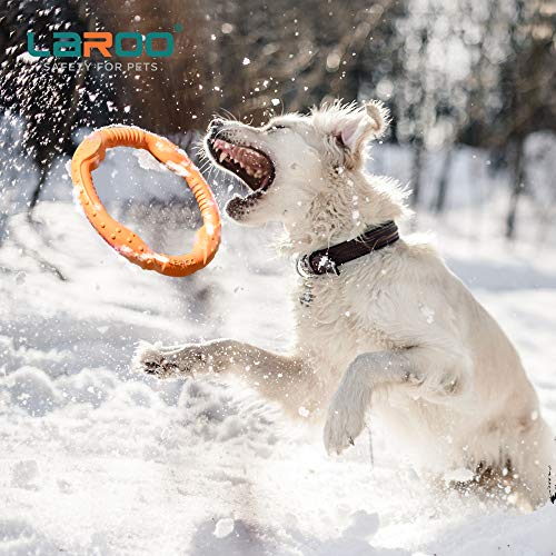 LaRoo Dog Frisbee Dog Disc Toy, Disco de Lanzamiento Duradero para Perros Fuertes para Perros pequeños, medianos y Grandes, Deporte, Ejercicio, Actividad y Juegos al Aire Libre (30 cm Naranja)