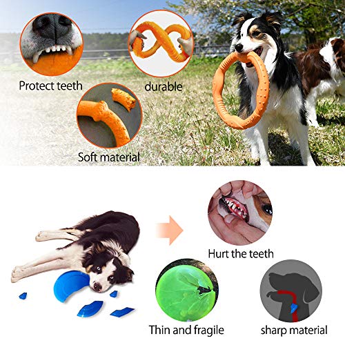 LaRoo Dog Frisbee Dog Disc Toy, Disco de Lanzamiento Duradero para Perros Fuertes para Perros pequeños, medianos y Grandes, Deporte, Ejercicio, Actividad y Juegos al Aire Libre (30 cm Naranja)
