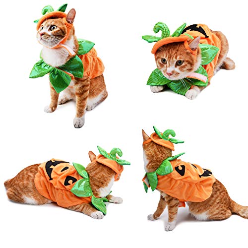 Legendog Disfraz de Halloween para Gato, Disfraz de Calabaza con Calabaza, Divertido Disfraz para Gato de Halloween con Calabaza