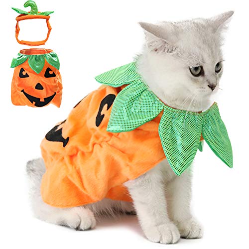 Legendog Disfraz de Halloween para Gato, Disfraz de Calabaza con Calabaza, Divertido Disfraz para Gato de Halloween con Calabaza