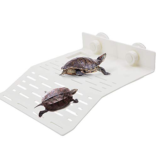 LFS - Banco de tortuga flotante con plataforma para tumbonas