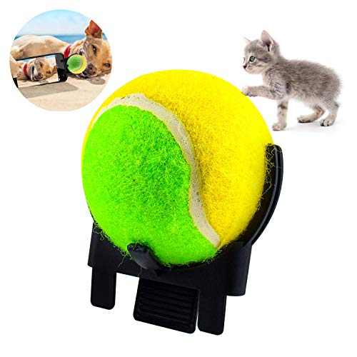 LHKJ Mascotas Selfie Stick Ball, Accesorio de cámara para Smartphone para Perro Gato Disparar la Foto Divertida Mascota en Cualquier Momento 2.5 Inch (Color Azar)
