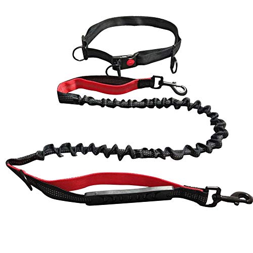 Libelyef Cinturón de seguridad para perro, multifuncional, cuerda de tracción elástica con tira reflectante, correa de seguridad para perros para correr y caminar inteligente