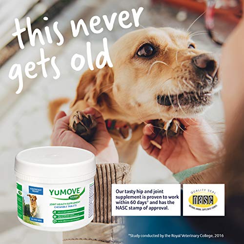 Lintbells YuMOVE Dog Supplement for Stiff Dogs, 300 Tablets