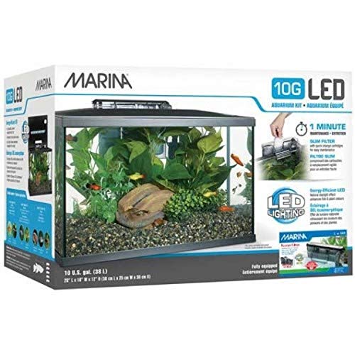 Marina 15256 - Kit de Acuario con Iluminación LED 10G, 38 L