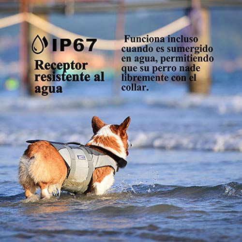 Meloive Collar Anti Ladridos, Vibración y Sonido, para Perros Pequeños, Medianos y Grandes - Collar de Adiestramiento de Perros Resistente al Agua y Reflectante