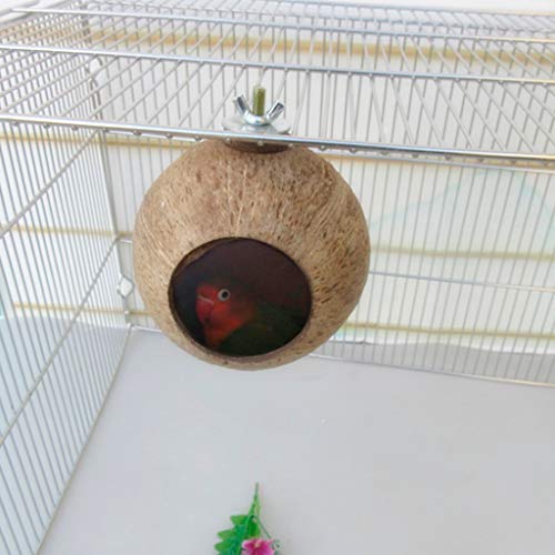 Mentin de Nido de pájaro en Nuez de Coco Natural Juguete de comedero de Jaula para Rifle de casa para el Animal familier para Periquito, Hamster