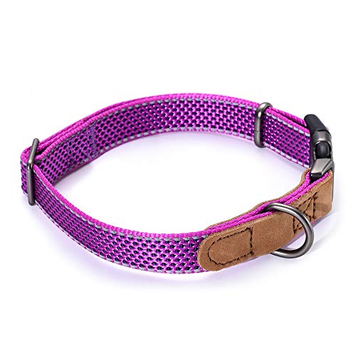 Mile High Life - Collar de perro de nailon reflectante para perros pequeños, collar de perro mediano, collar de perro grande para perro de piel