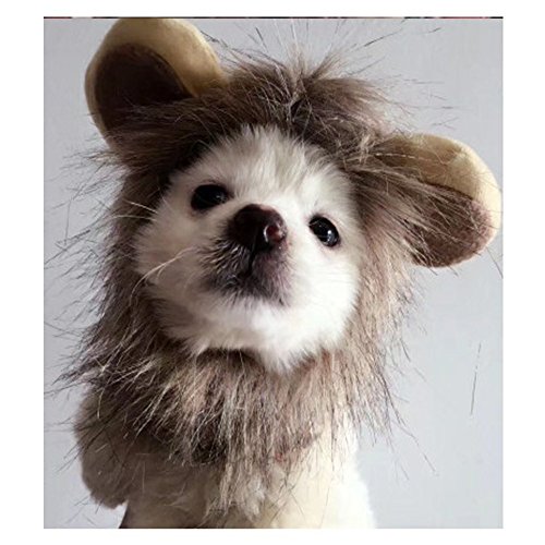 Morbuy Interesante Peluca Disfraz de León, Sombrero Pelo con Orejas Diverdido Cosplay Traje para Perro Gato Cachorro Mascotas Halloween Navidad (M)