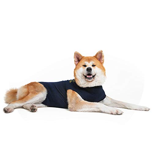 MPS Perro de Mascota Camiseta XXL Azul Marino