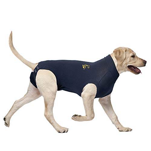 MPS Perro de Mascota Camiseta XXL Azul Marino
