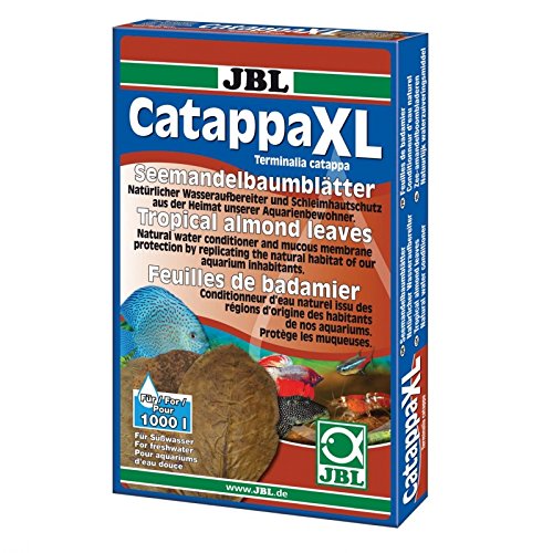 Novopet Catappa XL + 12 Unidades 100 ml
