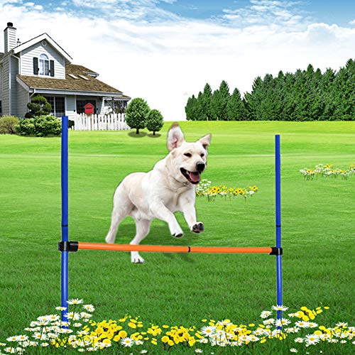 NXL Juegos para Mascotas Al Aire Libre Equipo De Entrenamiento De Ejercicios De Agilidad para Perros Kit De Inicio De Agilidad Juego De Perros Correr Saltar Juego De Entrenamiento (Valla)