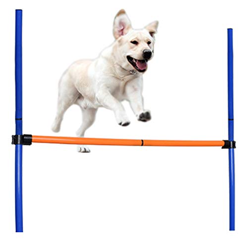 NXL Juegos para Mascotas Al Aire Libre Equipo De Entrenamiento De Ejercicios De Agilidad para Perros Kit De Inicio De Agilidad Juego De Perros Correr Saltar Juego De Entrenamiento (Valla)