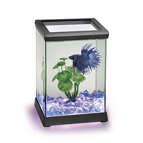 Ocean Free AT619A Kit Betta Space Led, Negro