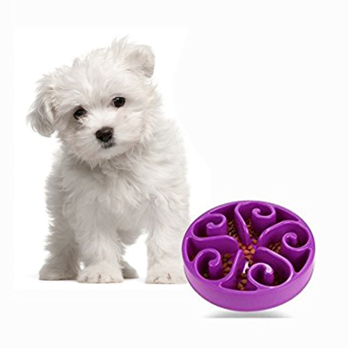 OFKPO Perro alimentador alimentación Lenta Pet Bowl - Saludable diseño Bol para Perro de Mascota, Reducir significativamente la Velocidad de Comer Perro
