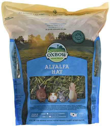 Oxbow Alfalfa Hay, 425 g