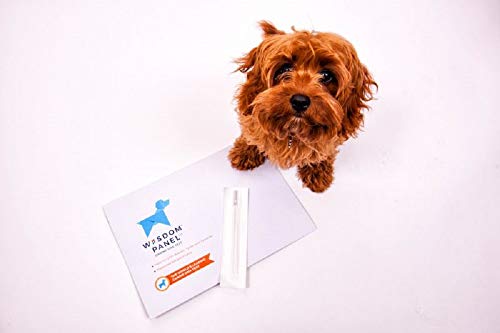 PaylesswithSS Kit de ADN para perros, fácil uso, análisis detallado de raza ancestral