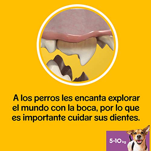 Pedigree Pack de 112 Dentastix de uso diario para la limpieza dental de perros pequeños