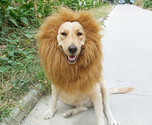 Peluca de león para mascotas, ideal como disfraz para perros y gatos