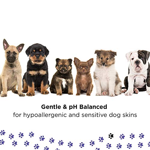 PETUCHI Spray Anti-Picores Bio para Perros; Piel Sensible; con Cáñamo y Avena; 150ml