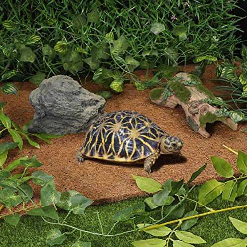 POPETPOP Alfombra de Reptil Fibra de Coco Reptiles Ropa de Cama Alfombra de Escalada para Lagarto Camaleón Serpiente Tortuga Dragón Barbudo Iguana Cama - 60x40cm