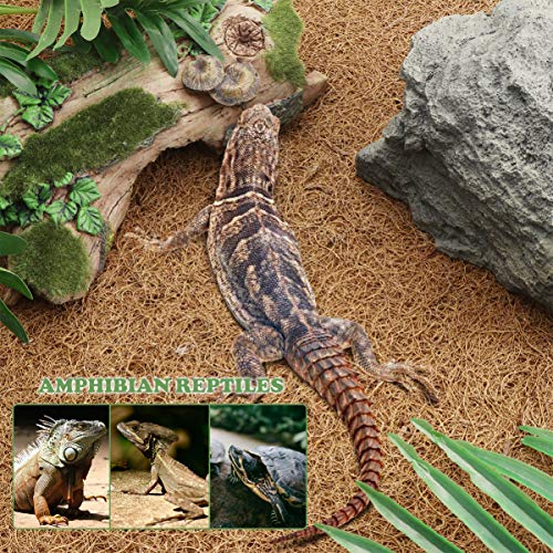 POPETPOP Alfombra de Reptil Fibra de Coco Reptiles Ropa de Cama Alfombra de Escalada para Lagarto Camaleón Serpiente Tortuga Dragón Barbudo Iguana Cama - 60x40cm